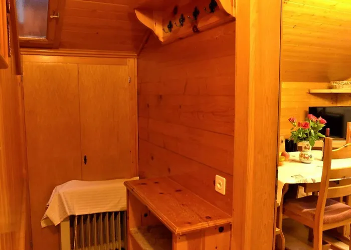 Laerchenheim By Interhome Daire Gasenried